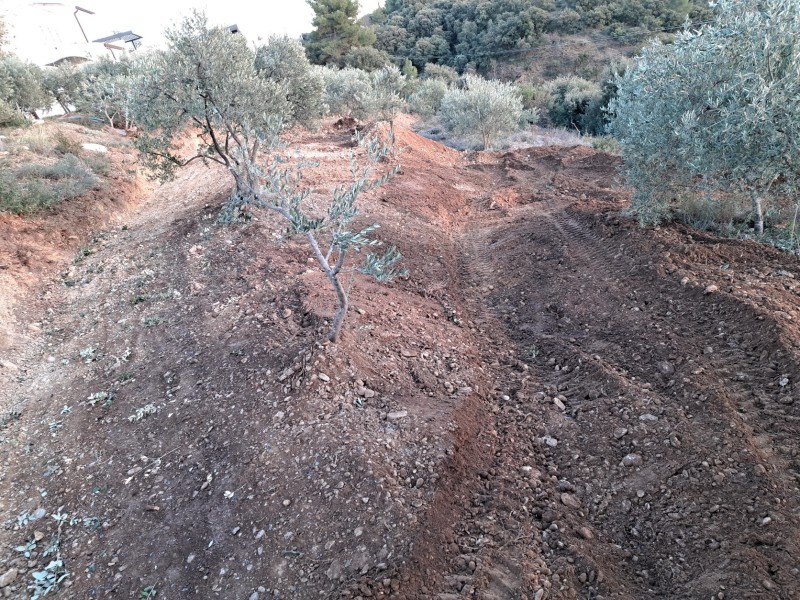 Aménagement d'accès sur terrain accidenté agricole oliveraie à Valensole