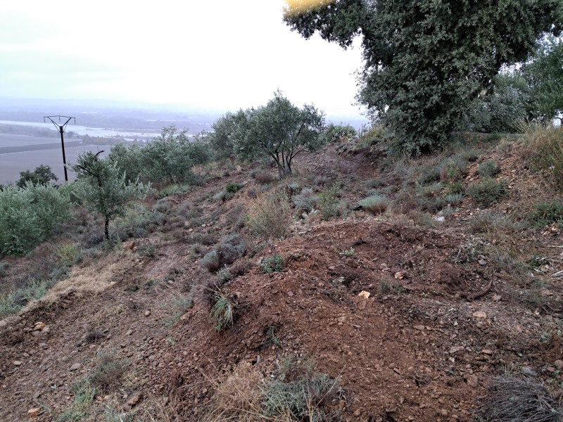 aménagement de terrain agricole à Valensole 