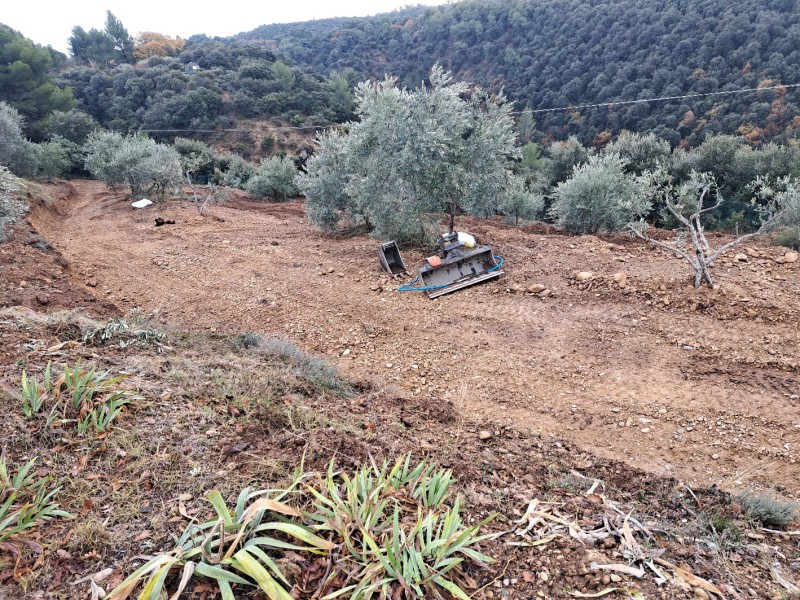 Aménagement d'accès sur terrain accidenté agricole oliveraie à Valensole
